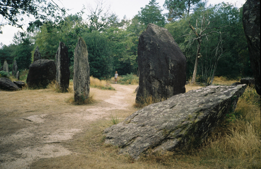 asasa