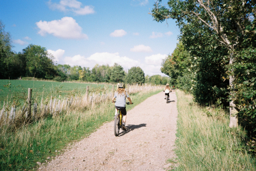 bikes